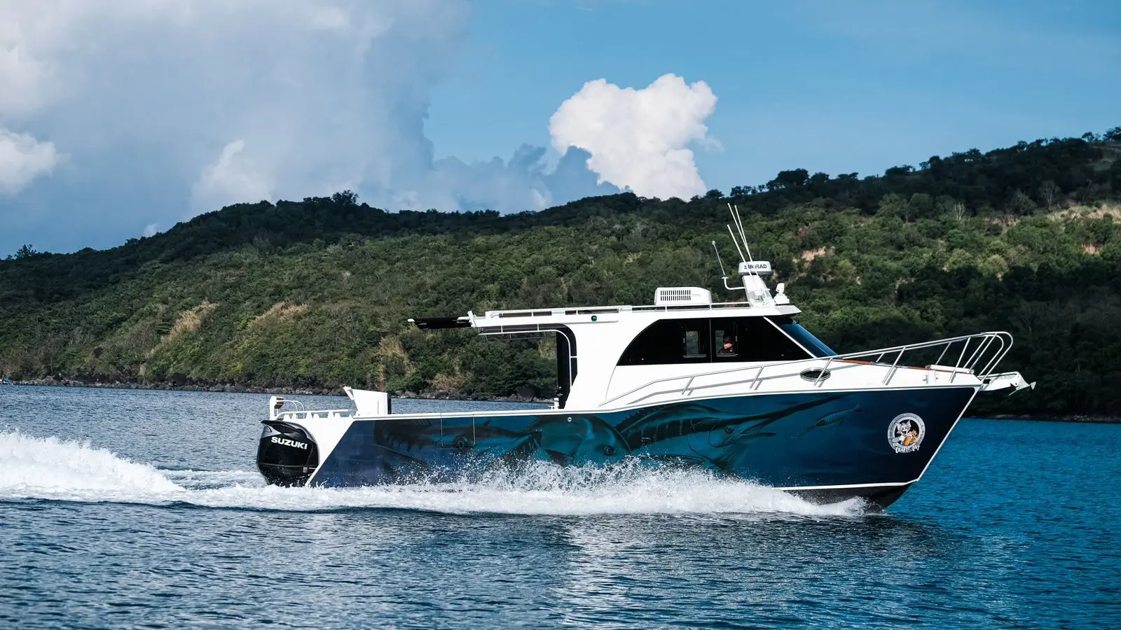 10m Shark Cat twin-hull catamaran on ocean with enclosed cabin and black hull