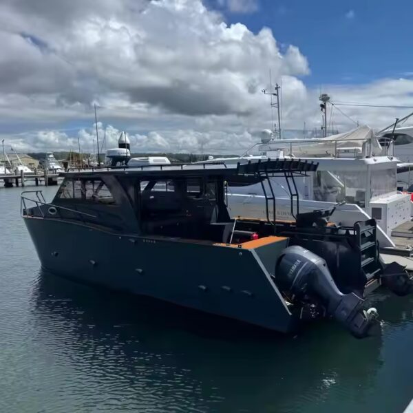 10m Shark Cat - Image 9