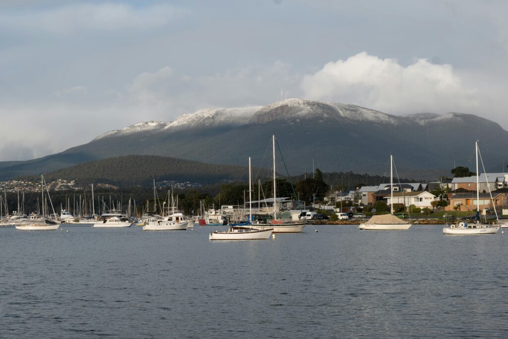 Aluminium Boats for sale