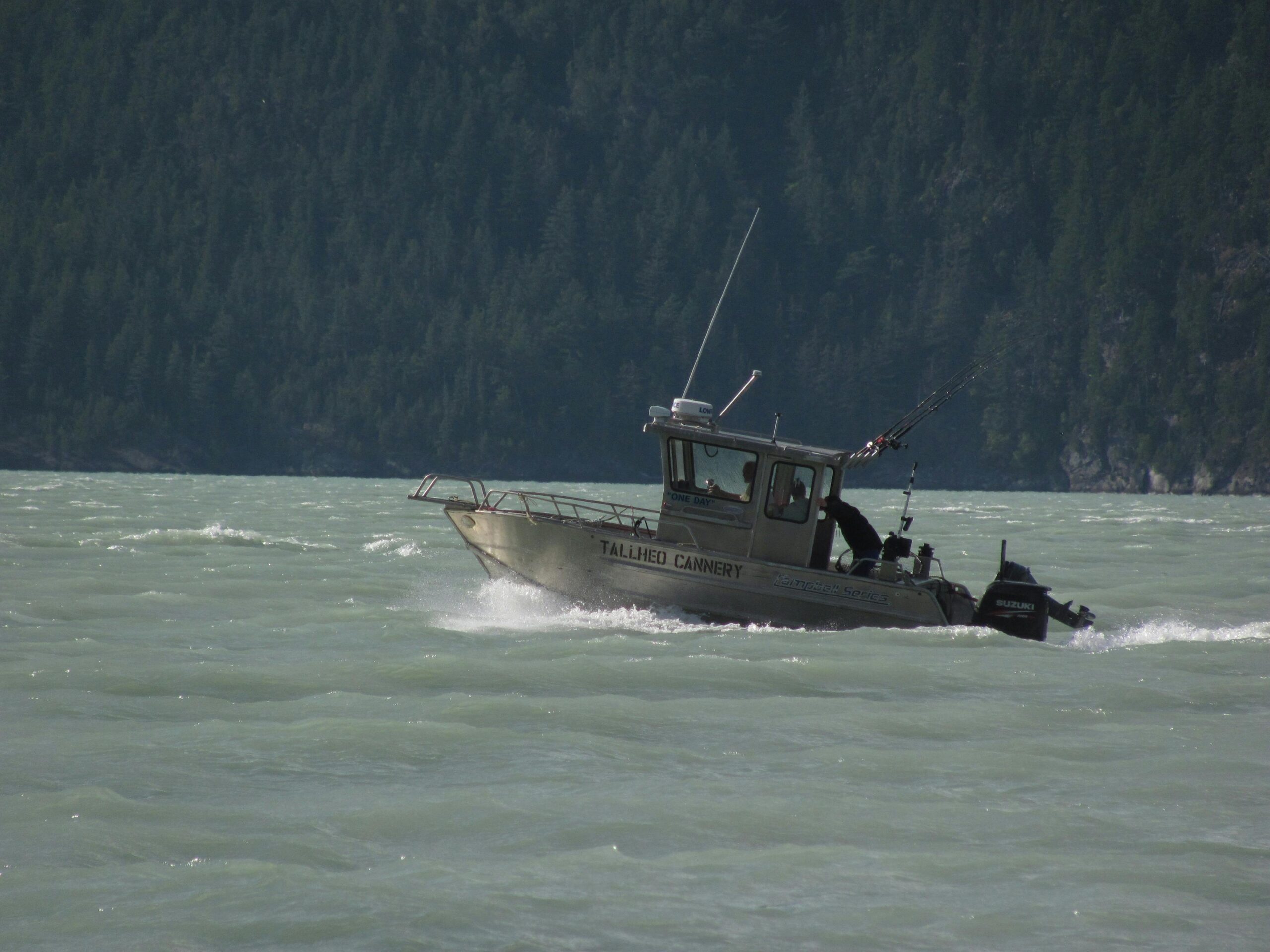 What Should You Know Before Buying an Aluminium Boat?