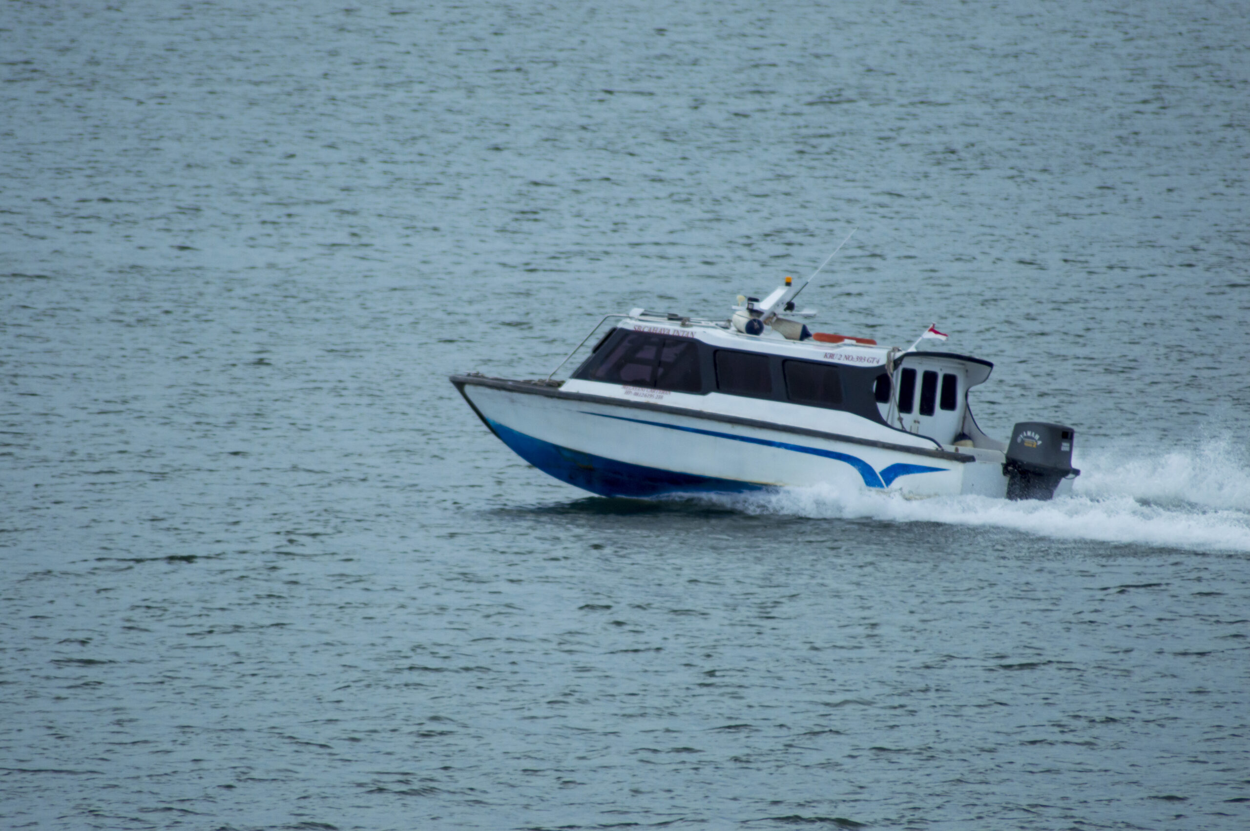 Plate Alloy Boats vs Pressed Alloy Boats: Which Should You Choose?