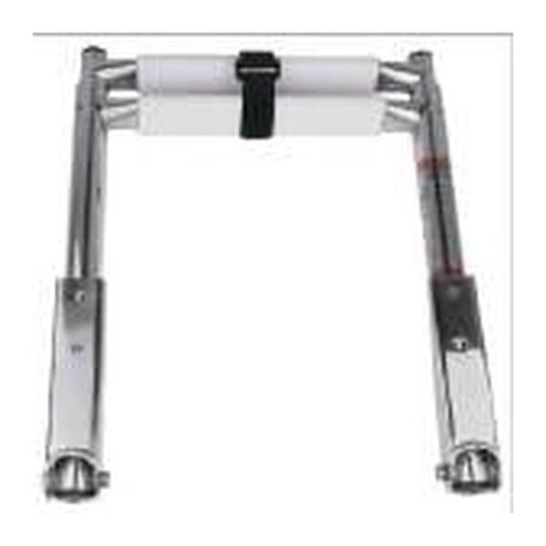 Over Platform Telescoping Ladders