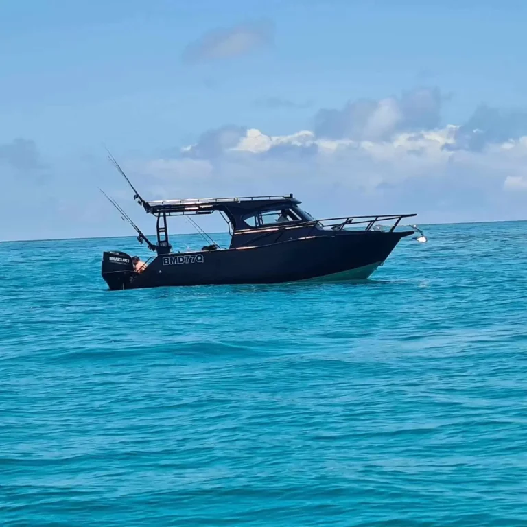 Black plate aluminium cabin boat on tropical water