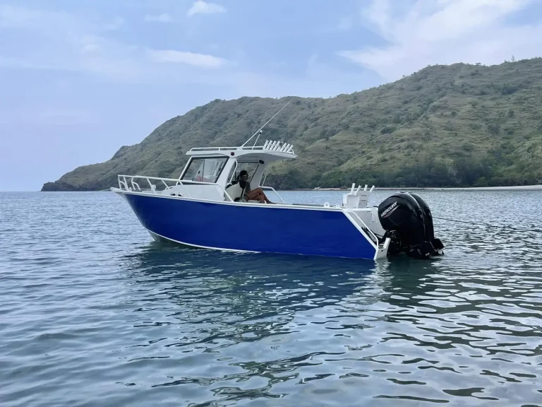 Blue and white plate aluminium boat on a tropical bay