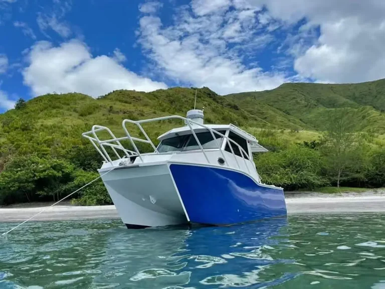 Blue and white plate aluminium cabin boat in a tropical bay