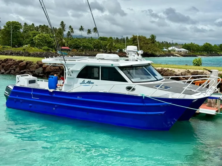 Blue hulled plate aluminium boats at a tropical jetty