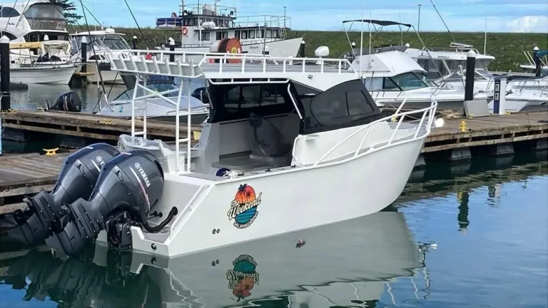 Centre console with twin outboards berthed at a marina