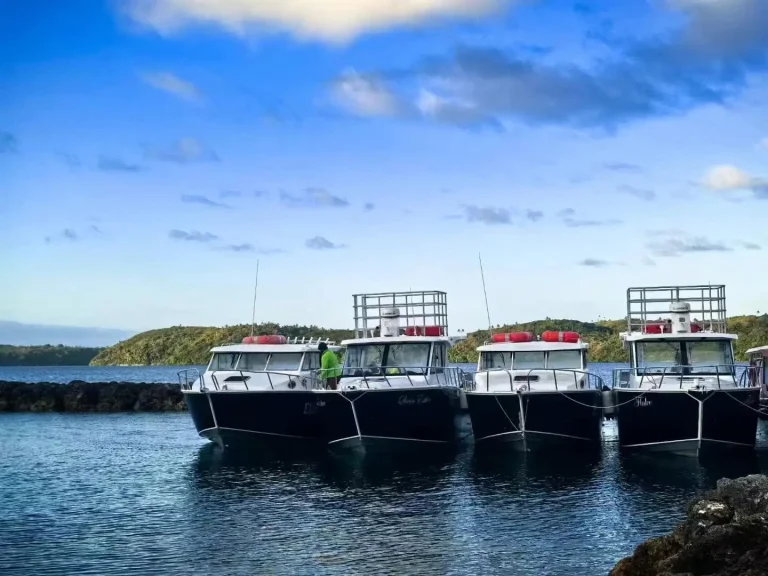 Fleet of plate aluminium work boats moored together