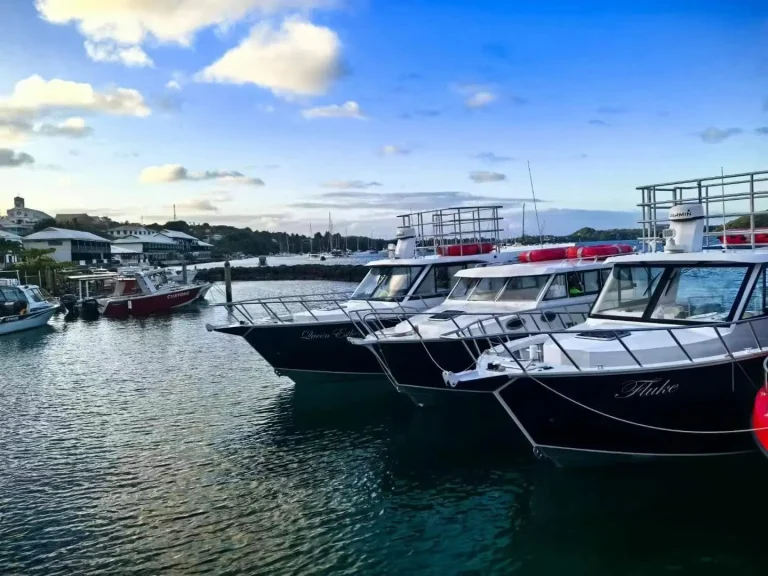 Plate aluminium boats rafted up at a jetty