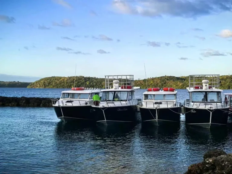 Plate aluminium charter fleet at anchor