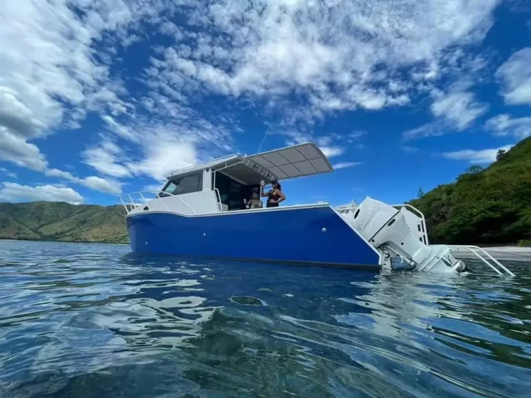Plate aluminium hardtop boat anchored over clear water