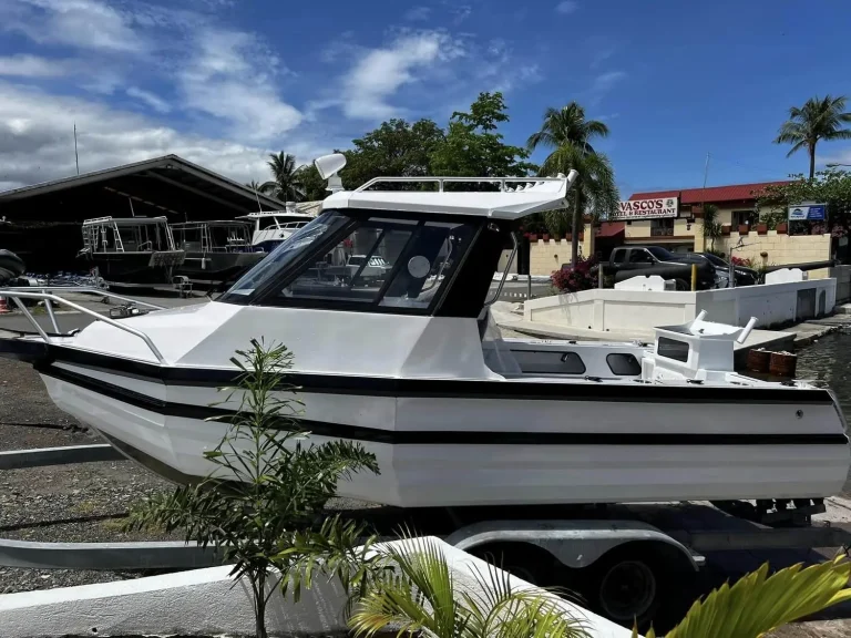 Plate aluminium hardtop cruiser parked by the palms