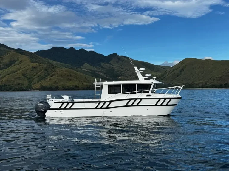Plate aluminium passenger boat cruising past hills