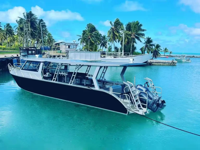 Plate aluminium passenger boat moored off a tropical island
