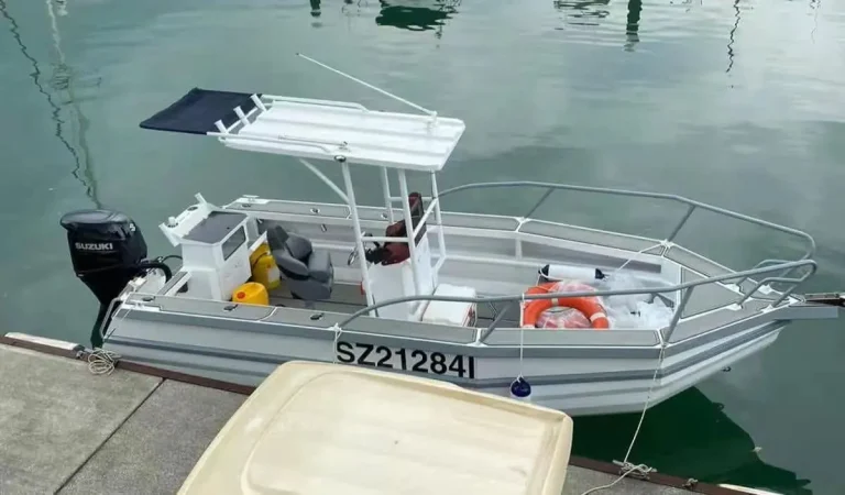 Small plate aluminium centre console with T-top afloat