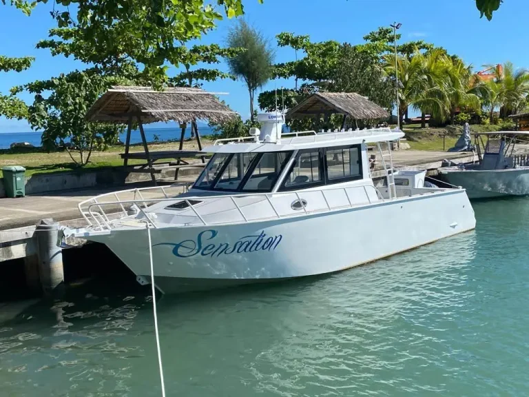 White plate aluminium cabin boat moored off a tropical resort