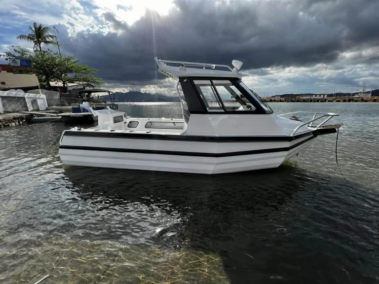 White plate aluminium hardtop boat moored on the river