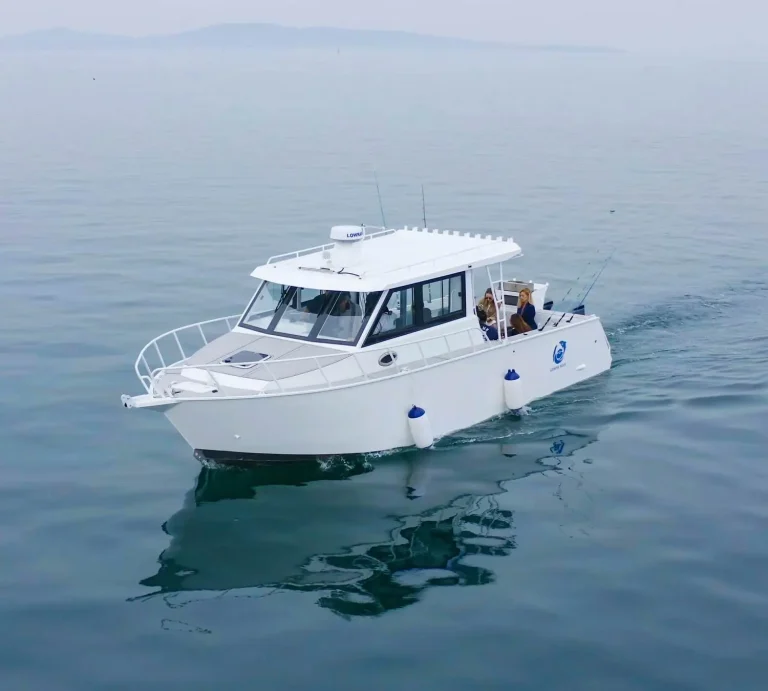 White plate aluminium hardtop cruiser under way on glassy water